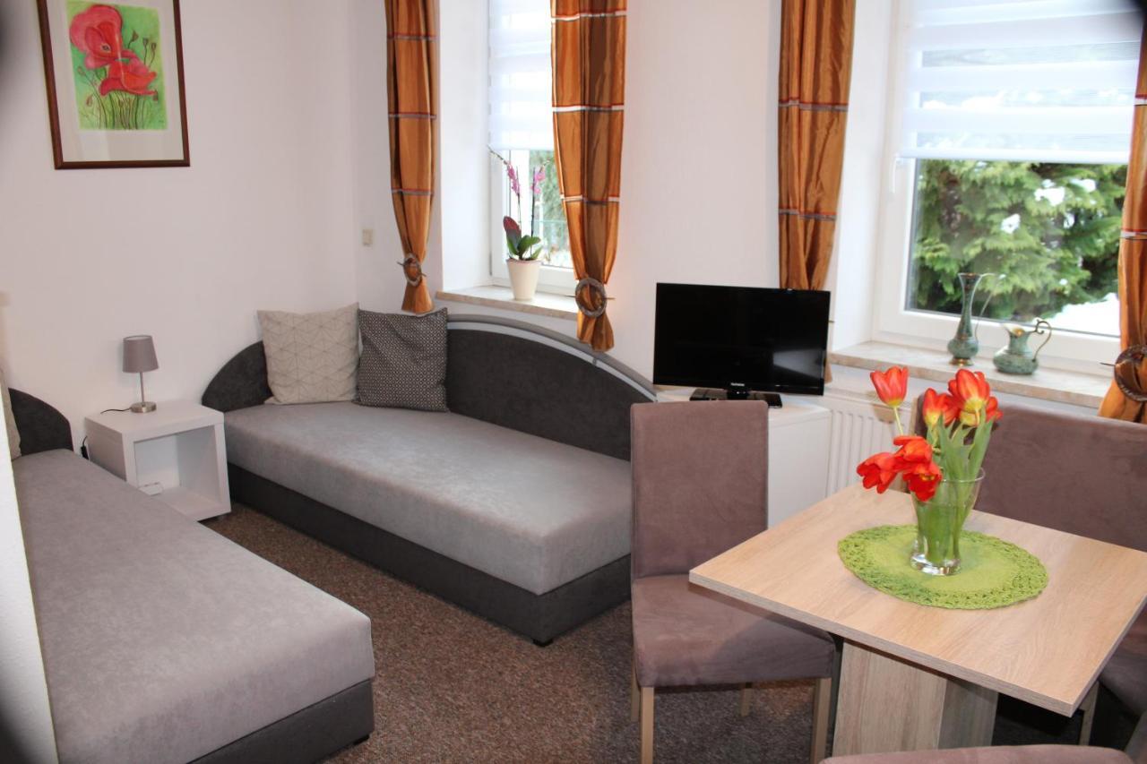 Ferienwohnung Am Muehlbach Klingenthal Ngoại thất bức ảnh