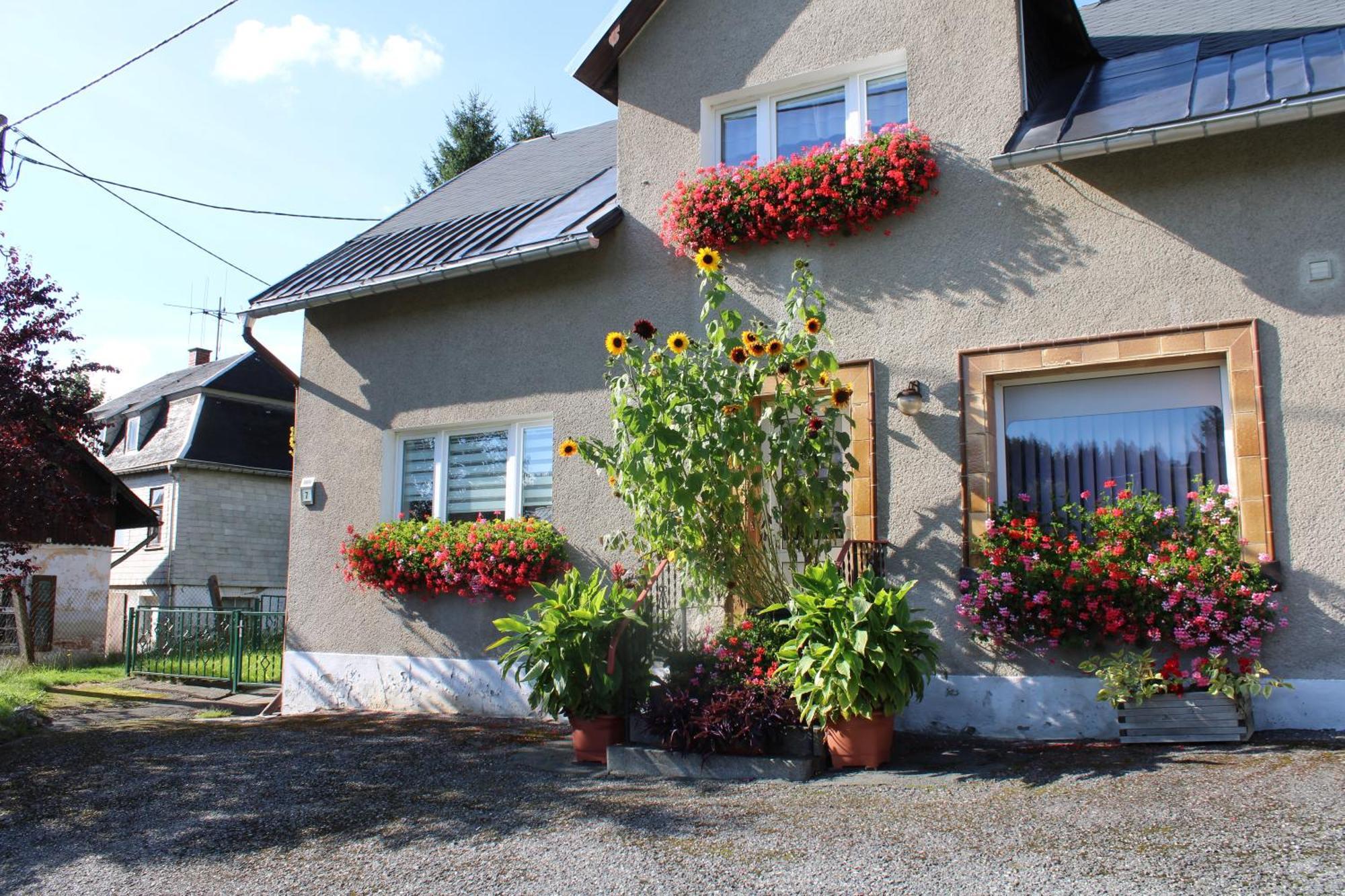 Ferienwohnung Am Muehlbach Klingenthal Ngoại thất bức ảnh